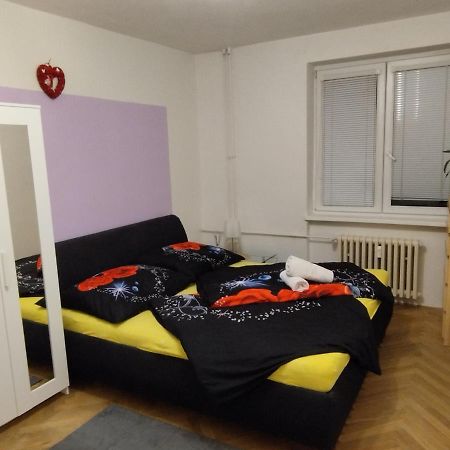 Apartman Mirabella برنو المظهر الخارجي الصورة