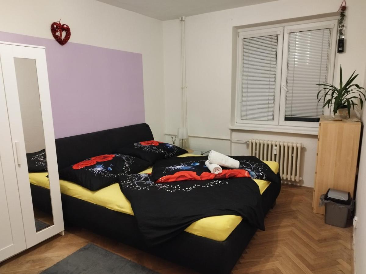 Apartman Mirabella برنو المظهر الخارجي الصورة